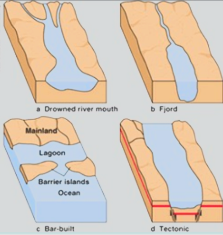 <p>These most commonly are barrier islands that are separated from land by a shallow lagoon. They are formed by the creation of sand bars parallel with the shore, usually adjacent to slow flowing rivers that discharge freshwater into the coastal waters. Wave action plays a pivotal roll in the creation of these sand bars. Example: Outer banks, NC</p>