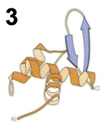 <p>3 dimensional molecule</p>