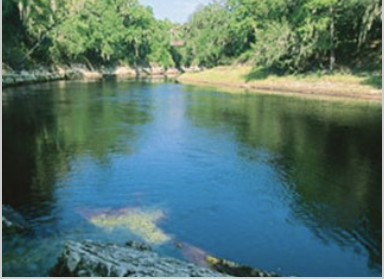 <p>What is this?</p>