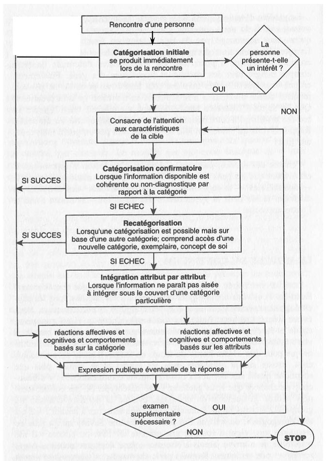 <ul><li><p>Comment intégrer le traitement des informations catégorielles (Asch) et individuelles (Anderson) ? </p></li><li><p>Processus séquentiel </p><ul><li><p>de catégorisation → impression holistique (Asch) </p></li><li><p>d’individualisation → traitement attribut par attribut (Anderson) </p></li></ul><p>dépendant de motivations particulières</p></li></ul><p></p>