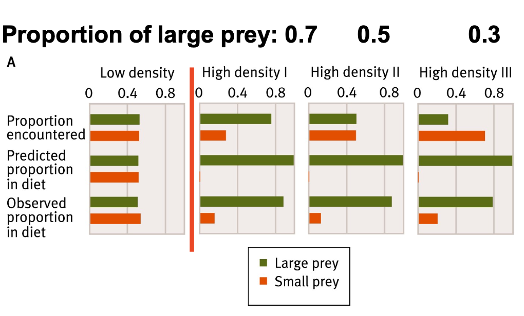 <p>The results mostly agreed with the predictions but the great tits took a small proportion of small prey even when the model predicted that they shouldn’t</p>