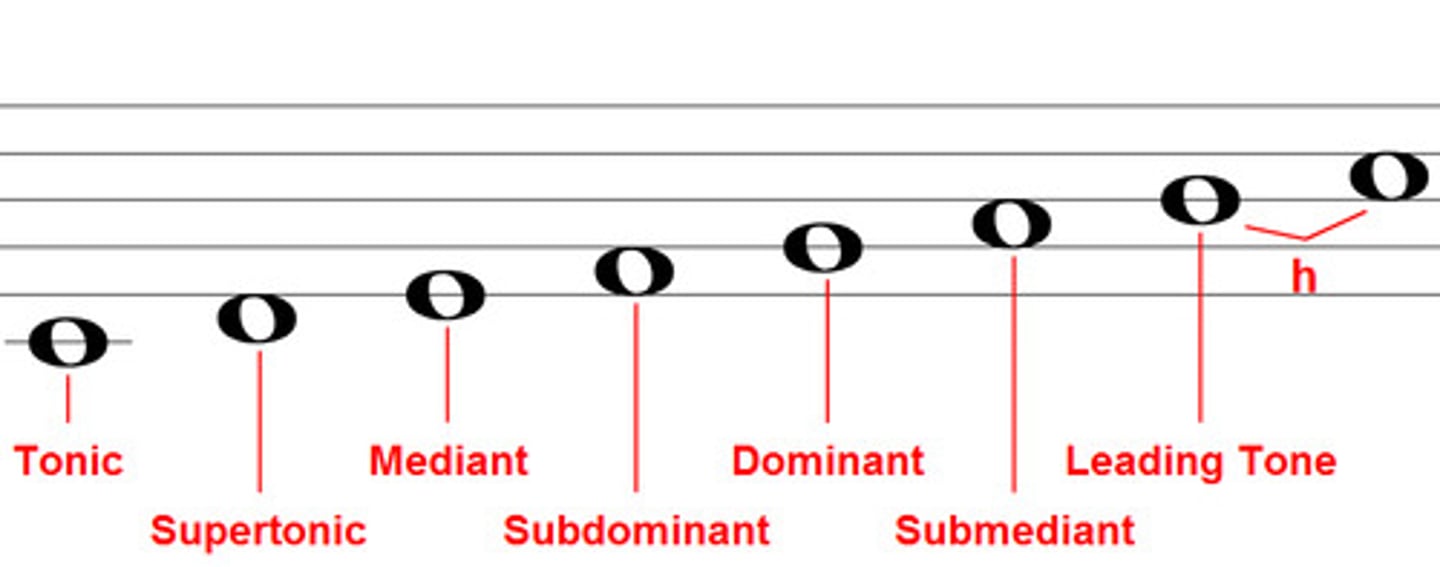 <p>Harmony using just notes from the scale</p>