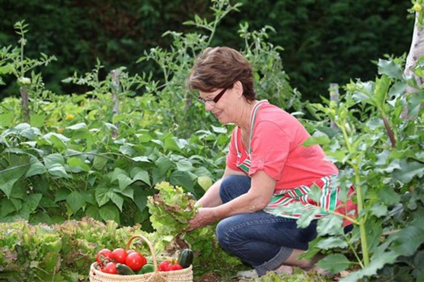 <p>to grow vegetables</p>