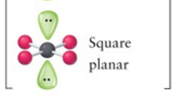 <p>Square planar</p>