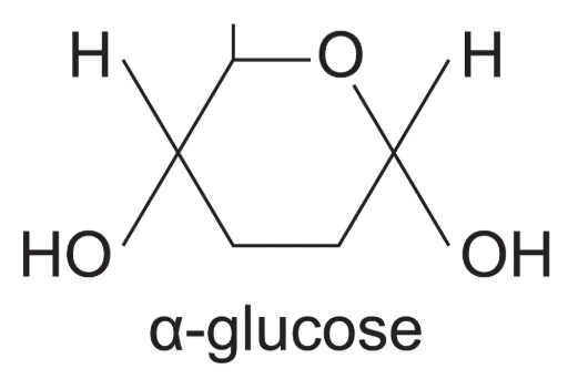 <p><span>H is ABOVE carbon 1</span></p>