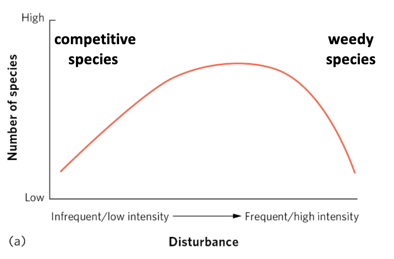 <p>The hypothesis stating that more species are present in a community that occasionally experiences disturbances than in a community experiencing frequent or rare disturbances</p>