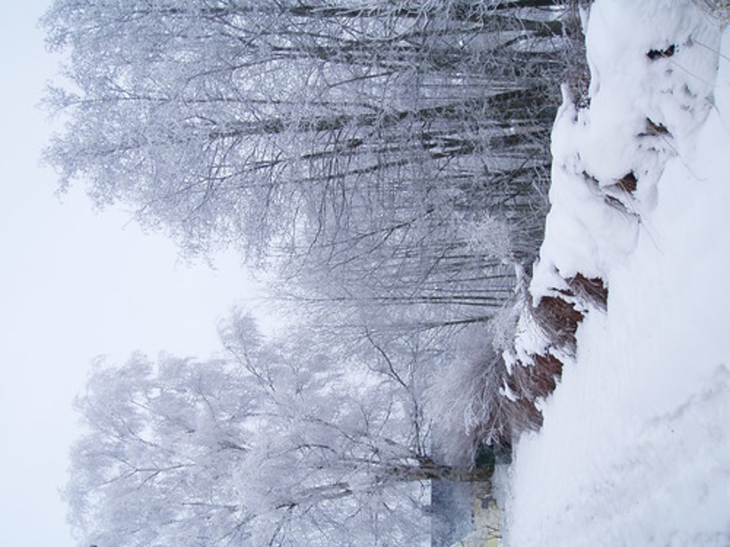 <p>draußen, nach draußen</p><p>afuera</p>