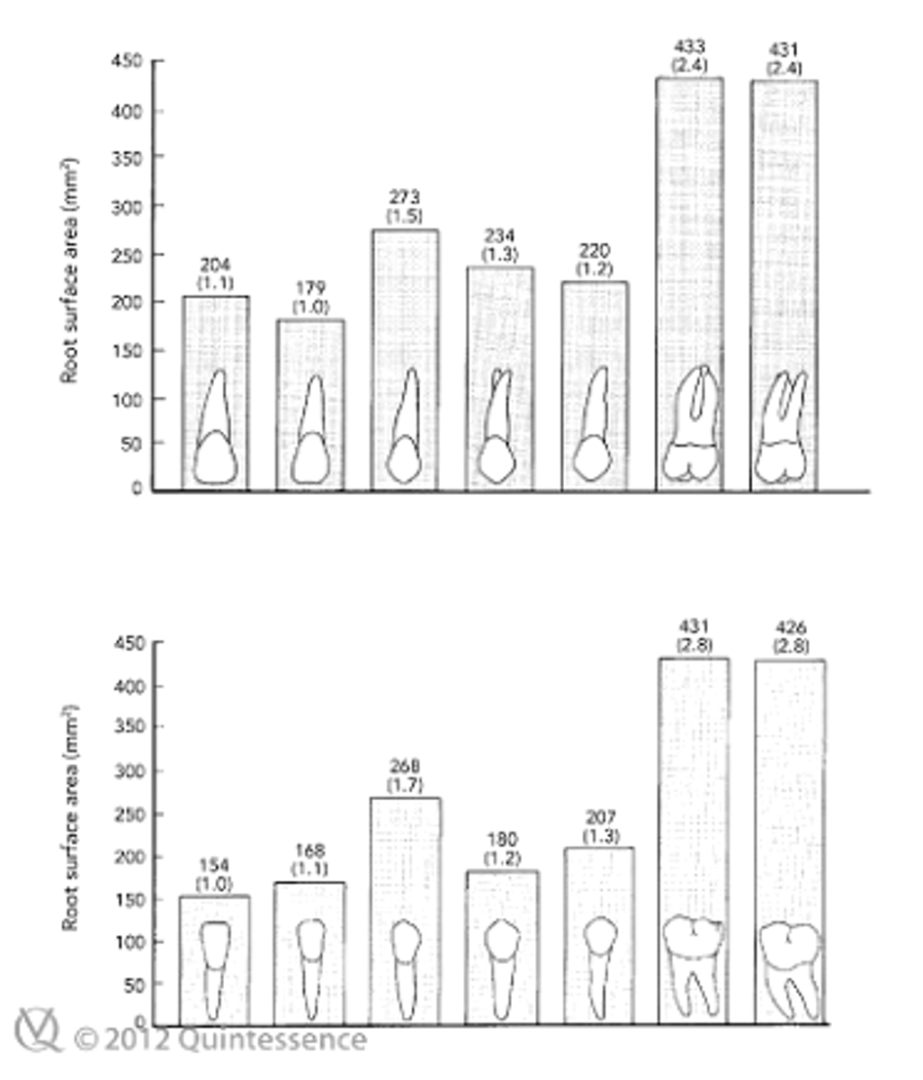 <p>the PDL surface area of the abutment teeth should EXCEED/BE APPROXIMATELY EQUAL TO ___________________</p>