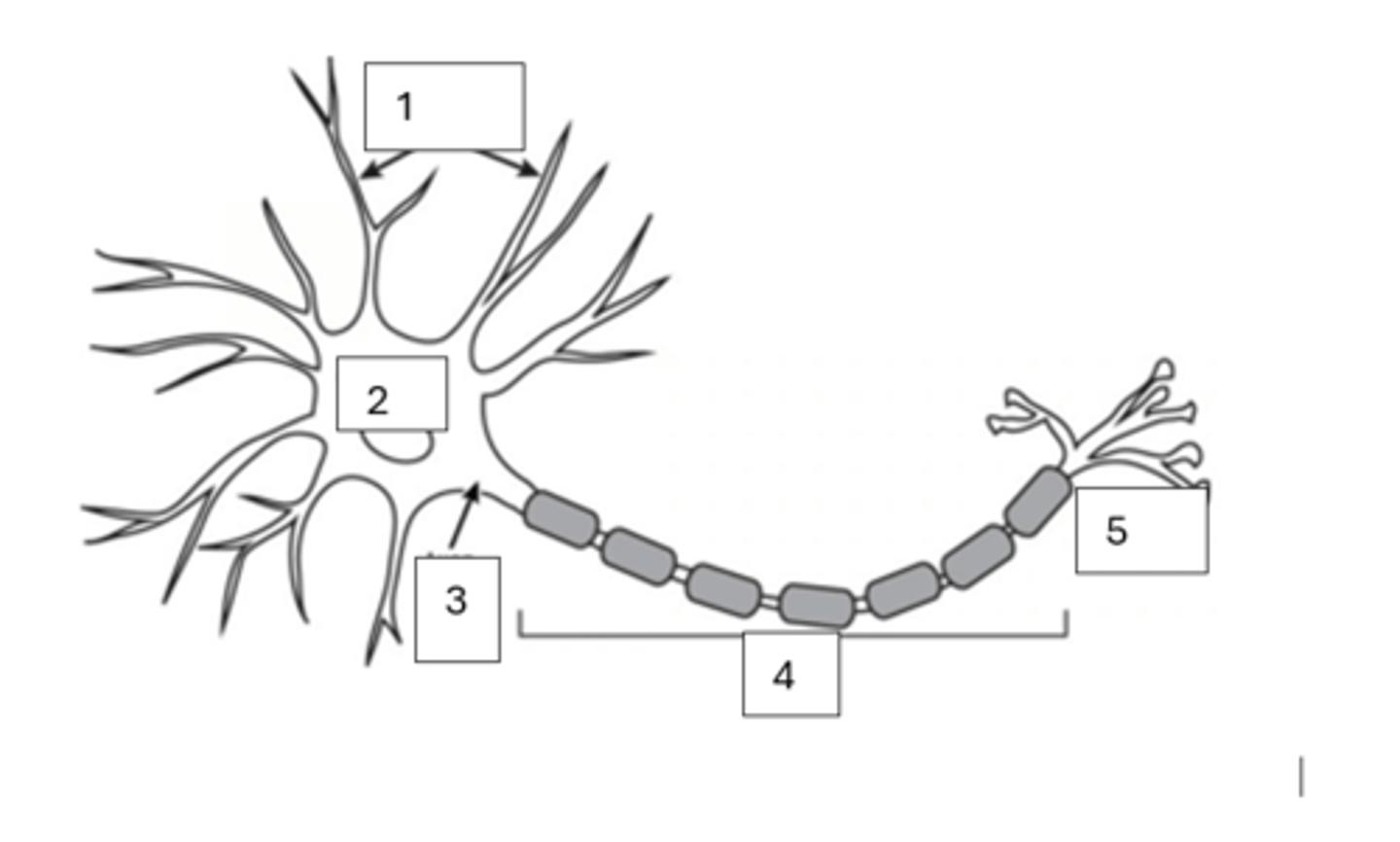 <p>4</p>