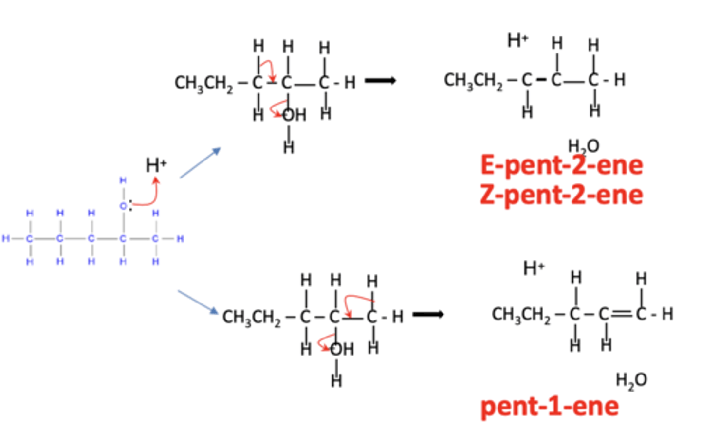 <p>- CH3CH=CH2 (propene).</p><p>- Minor product: E or Z isomers depending on conditions</p>