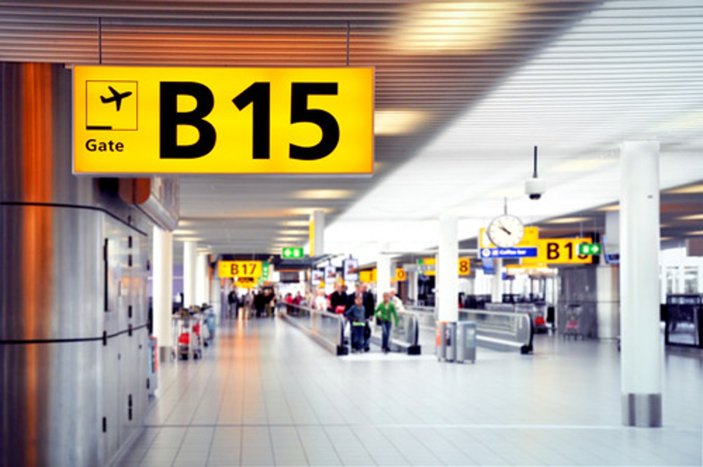 <p>the gate (airport), gates</p>