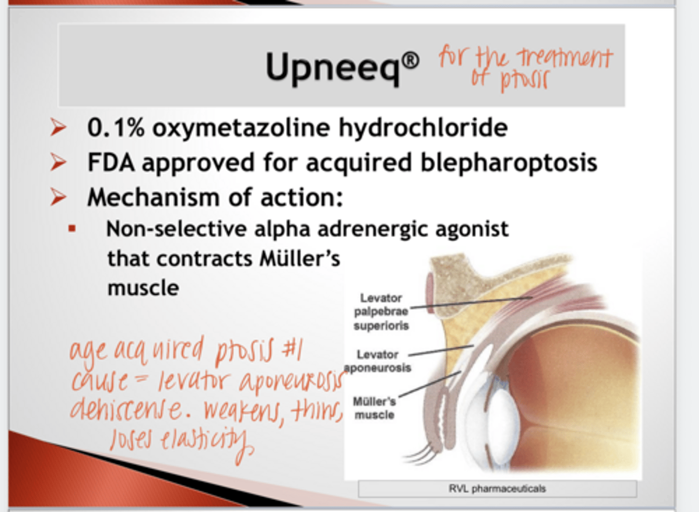 <p>What is the therapeutic effect of Upneeq?</p>