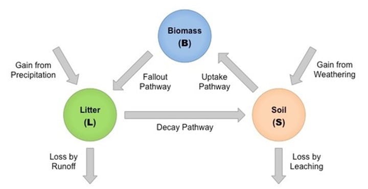 <p>show differences in nutrient flow and storage b/w diff. types of ecosystems<br>- Nutrients are stored in 3 nutrient sinks and be transferred b/w them/cycled (reference photo):<br>o Biomass<br>o Litter: organic matter in/on soil (humus, leaf litter)<br>o Soil: top layer of earth w/ disintegrated rocks<br>- The arrows on the diagram show the loss/gain of nutrients<br>- Gersmehl diagrams are affected by climatic factors</p>