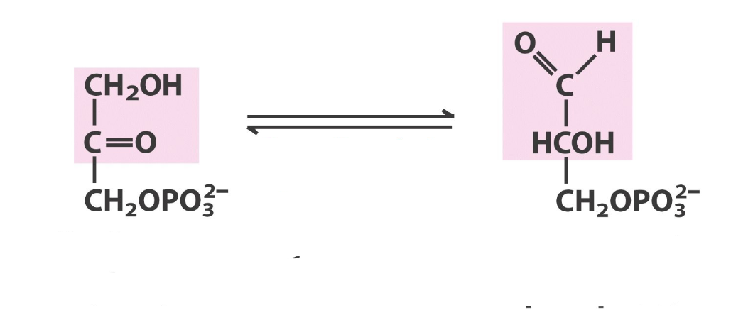 <p>what step in glycolysis, what react/prod</p>