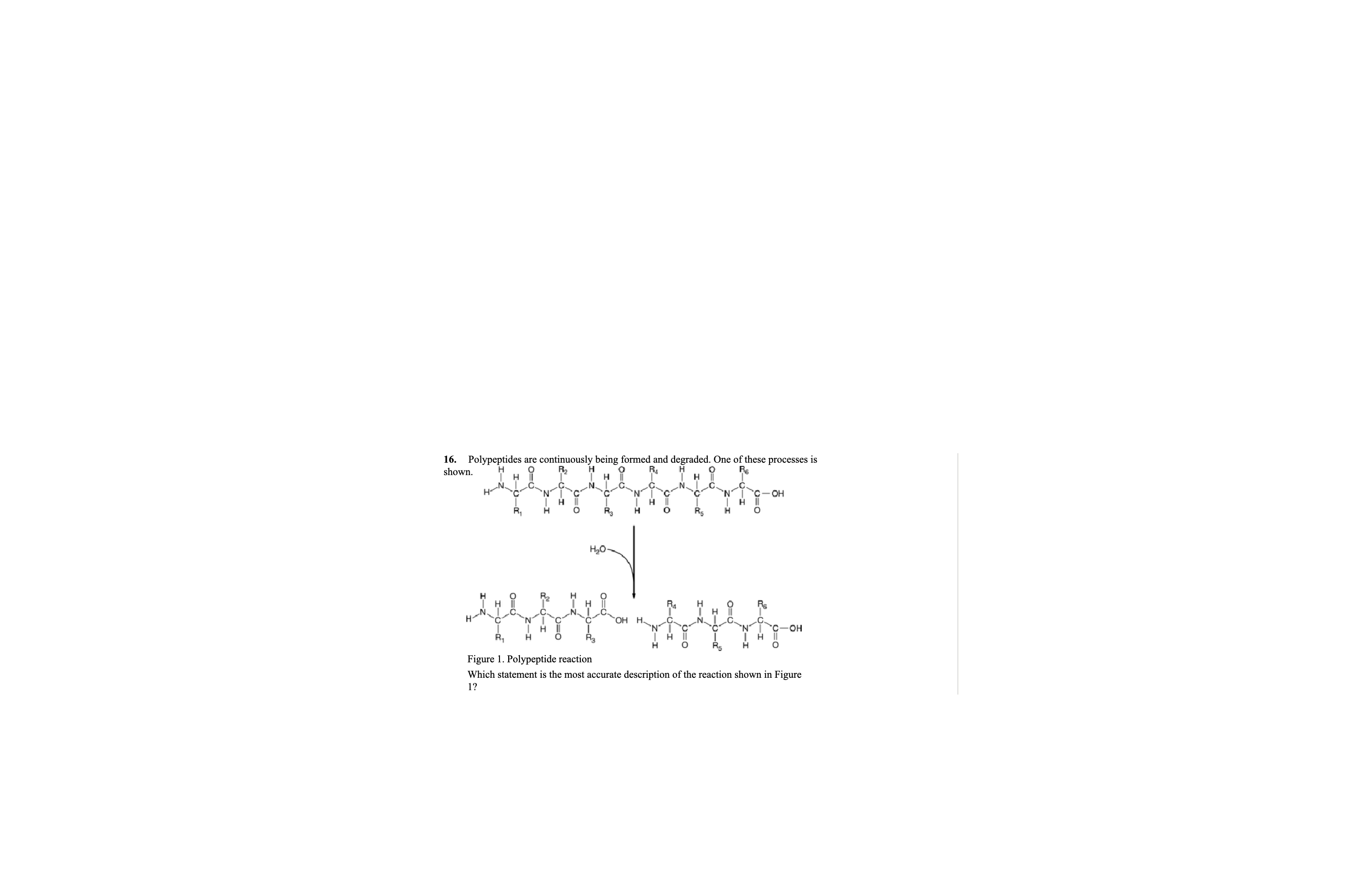 <p>Which statement is the most accurate description of the reaction shown in figure 1</p>