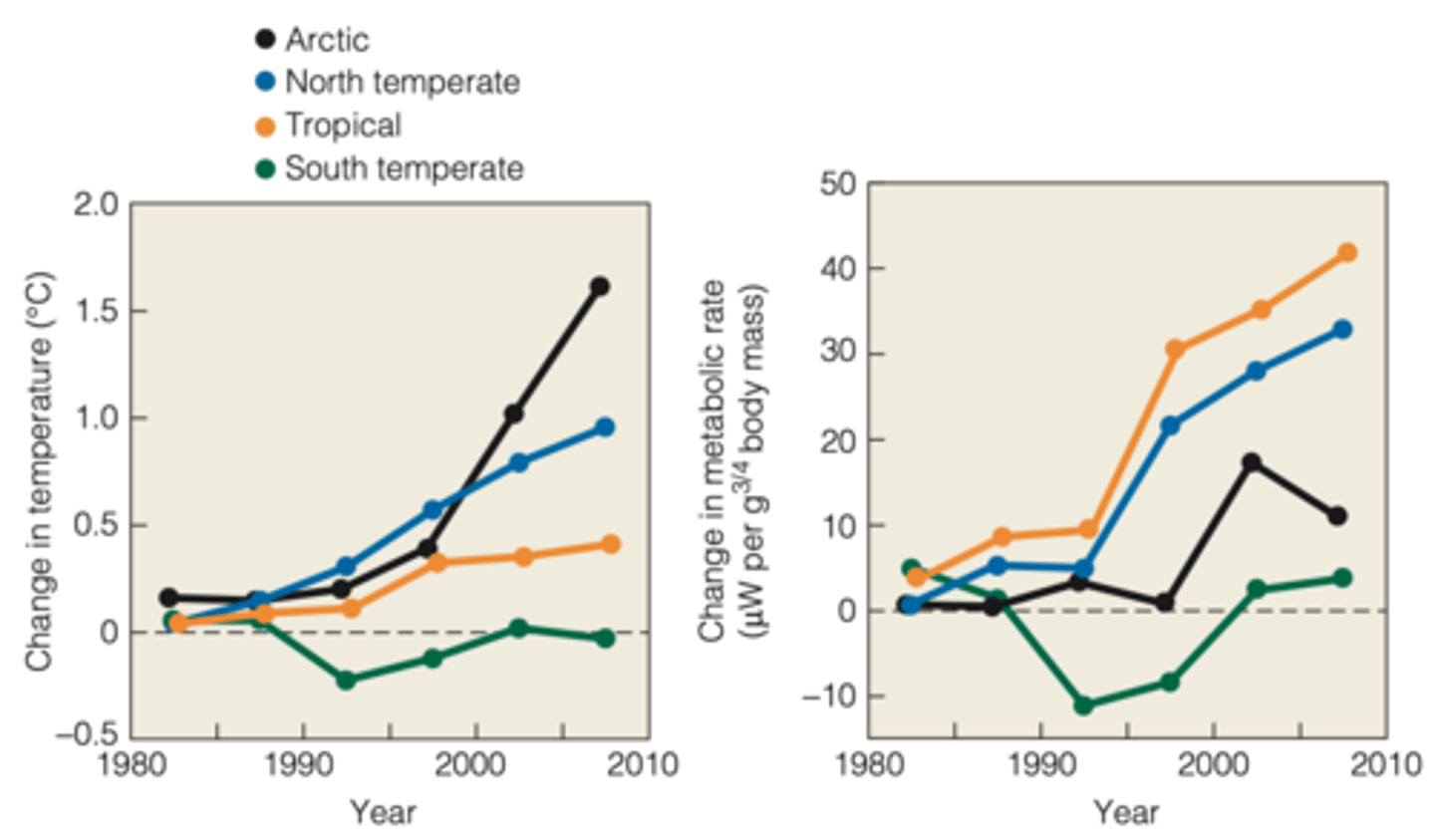 <p>further warming could exceed that limit</p><p>-----------------</p><p>EXAMPLE STUDY:</p><p>- M. Dillon published data on a diverse array of ectothermic animals to derive general metabolic rates from global temperature data</p><p>(data was gathered from 1961-2009 using 3186 weather stations)</p>