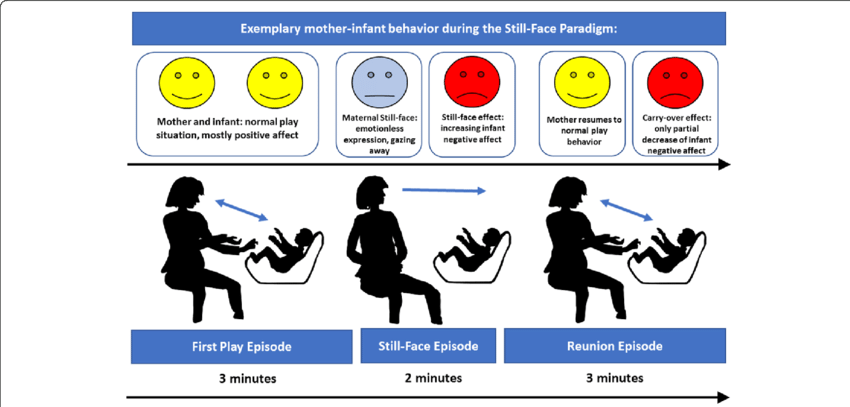<ul><li><p>wrodzona potrzeba interakcji (emocjonalnej,regulacyjnej) z człowiekiem→ intersubiektywność</p></li><li><p>kiedy matka nie reaguje, dziecko objawia oznaki stresu</p></li></ul><p></p>