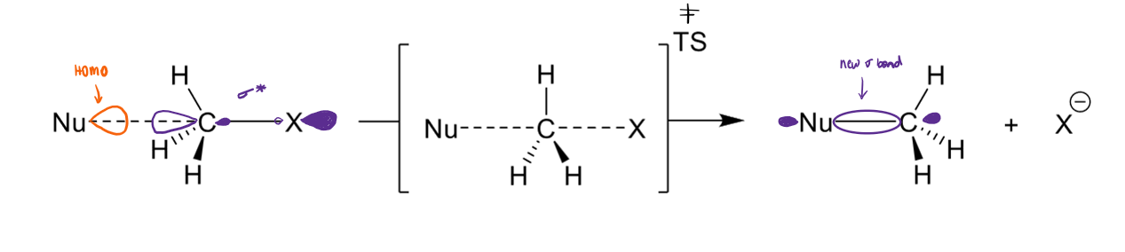<ul><li><p>Nu attacks σ* (LUMO) of C-X bond</p></li><li><p>Nu has to attack at 180° to have good orbital overlap</p></li><li><p>the transition state forms when the new bond is forming and the old bond is breaking at the same time</p></li></ul><p>make sure have flipped the Hs properly</p>