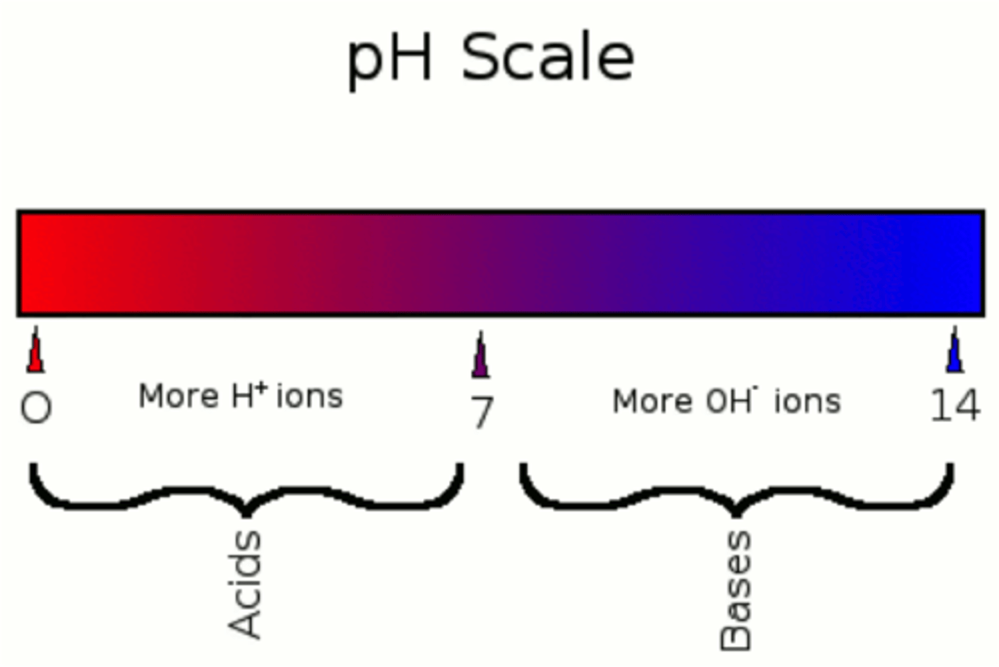 <p>0 is acidic</p><p>7 is neutral</p><p>14 is basic</p><p>more OH --> basic</p><p>more H --> Acidic</p>