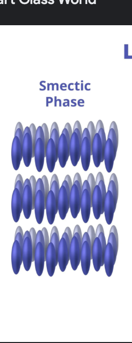 <ul><li><p>ordered along long axis AND another dimension ( sheets break it up?)</p></li></ul><p></p>