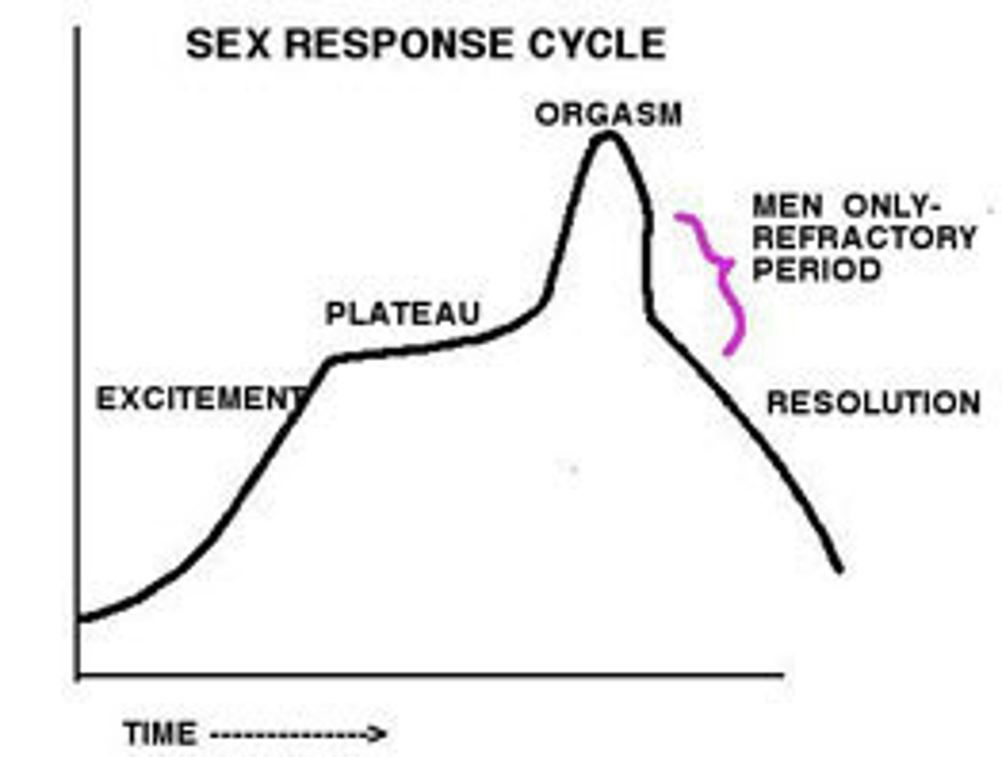 <p>(C) III &gt; I &gt; II &gt; IV</p><p>In order from first to last, the order of the phases of the Sexual Response Cycle are as follows: Excitement &gt; Plateau &gt; Orgasm &gt; Refractory Period.</p>