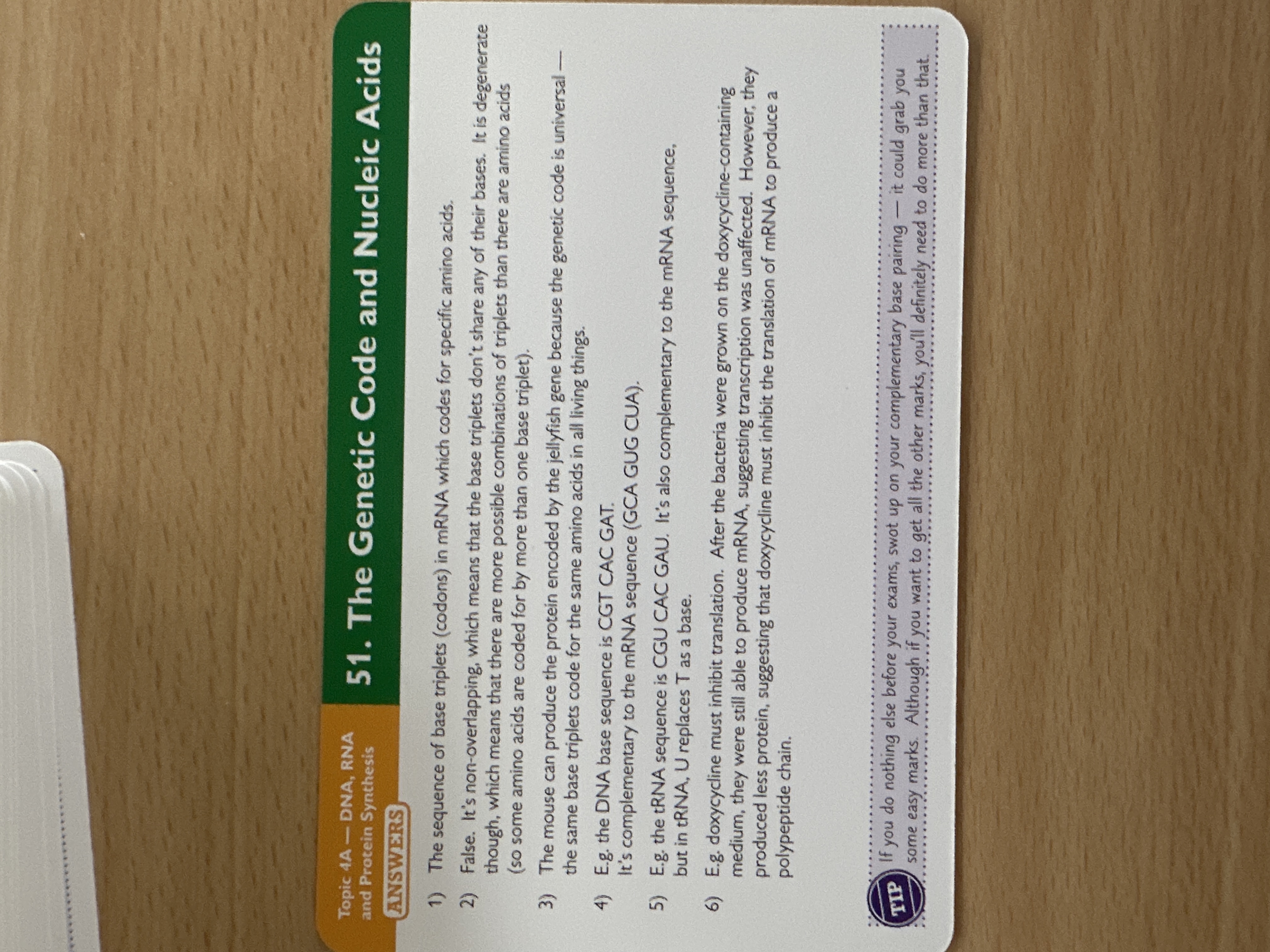 knowt flashcard image