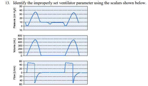 <p>Identify the improperly set ventilator parameter using the scalars shown below</p>