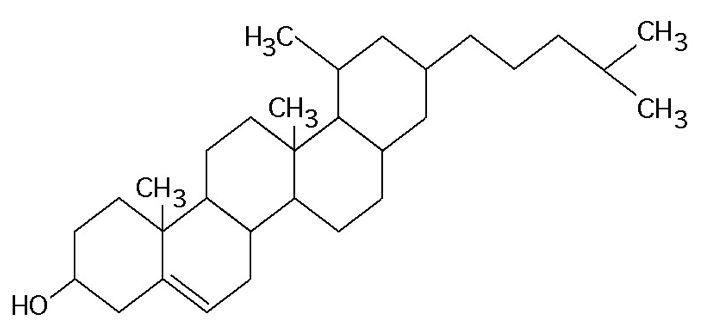 <p>69. What is the structure shown?</p><p class="p2">&nbsp;</p><table style="min-width: 221px"><colgroup><col><col><col style="width: 121px"><col><col></colgroup><tbody><tr><td colspan="1" rowspan="1"><p class="p3">a.</p></td><td colspan="1" rowspan="1"><p class="p1">starch molecule</p></td><td colspan="1" rowspan="1" colwidth="121"><p class="p3">d.</p></td><td colspan="1" rowspan="1"><p class="p1">cellulose molecule</p></td><td colspan="1" rowspan="1"><p></p></td></tr><tr><td colspan="1" rowspan="1"><p class="p3">b.</p></td><td colspan="1" rowspan="1"><p class="p1">protein molecule</p></td><td colspan="1" rowspan="1" colwidth="121"><p class="p3">e.</p></td><td colspan="1" rowspan="1"><p class="p1">phospholipid molecule</p></td><td colspan="1" rowspan="1"><p></p></td></tr><tr><td colspan="1" rowspan="1"><p class="p3">c.</p></td><td colspan="1" rowspan="1"><p class="p1">steroid molecule</p></td><td colspan="1" rowspan="1" colwidth="121"><p class="p4"></p></td><td colspan="2" rowspan="1"><p class="p4"></p></td></tr></tbody></table><p></p>
