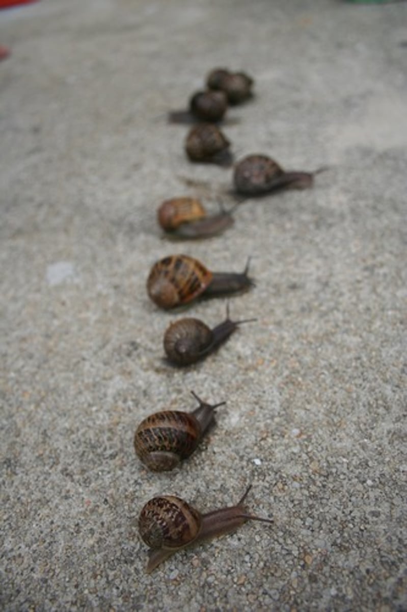 <p>to start, begin</p>