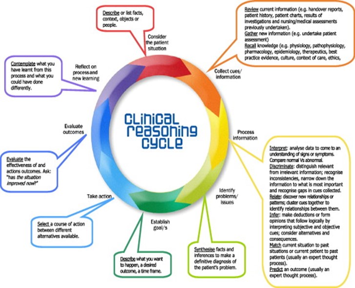 <p>A cyclical framework for nursing practice: gather cues, process information, identify problems, establish goals, take action, evaluate outcomes, and reflect to guide patient care.</p>