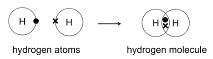 <p>The sharing of a pair of valence electrons that results in a biological strong bond is a () bond; this produces stable, relatively unreactive (). </p>
