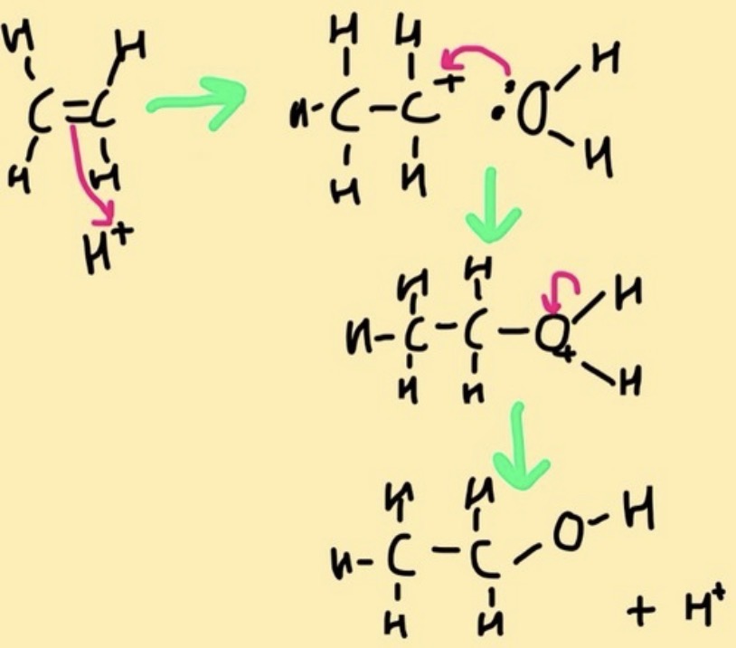 <p>acid-catalysed hydration:</p><p> electrophilic addition of the proton (or acid) to the double bond to form a carbocation intermediate.</p><p>Addition of water in the second step results in formation of an oxonium ion, which, upon deprotonation, gives the alcohol</p>