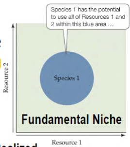 <p>ALL area in which an individual/species can live</p><p>all areas where a species has the potential to use all of certain resources</p>