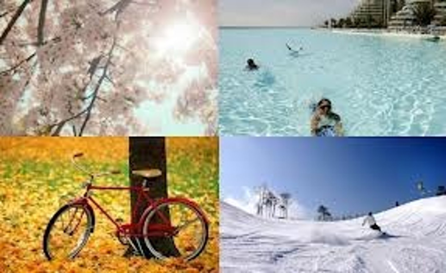 <p>season</p>