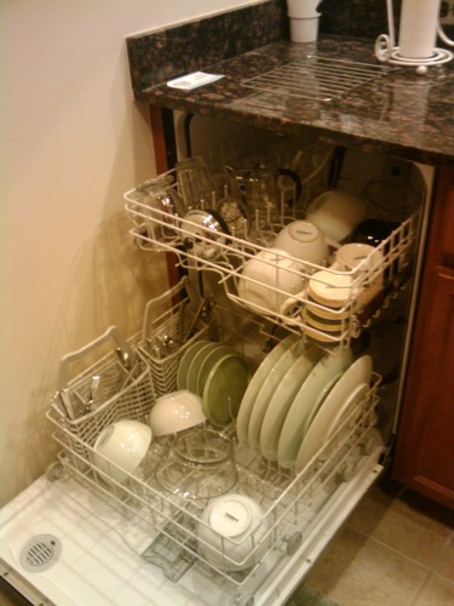 <p>the dishwasher</p>