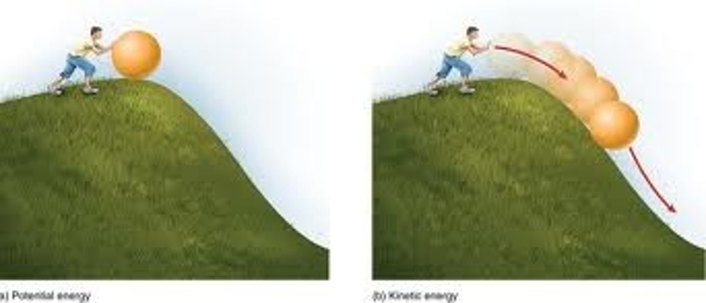 <p>the energy due to motion</p>