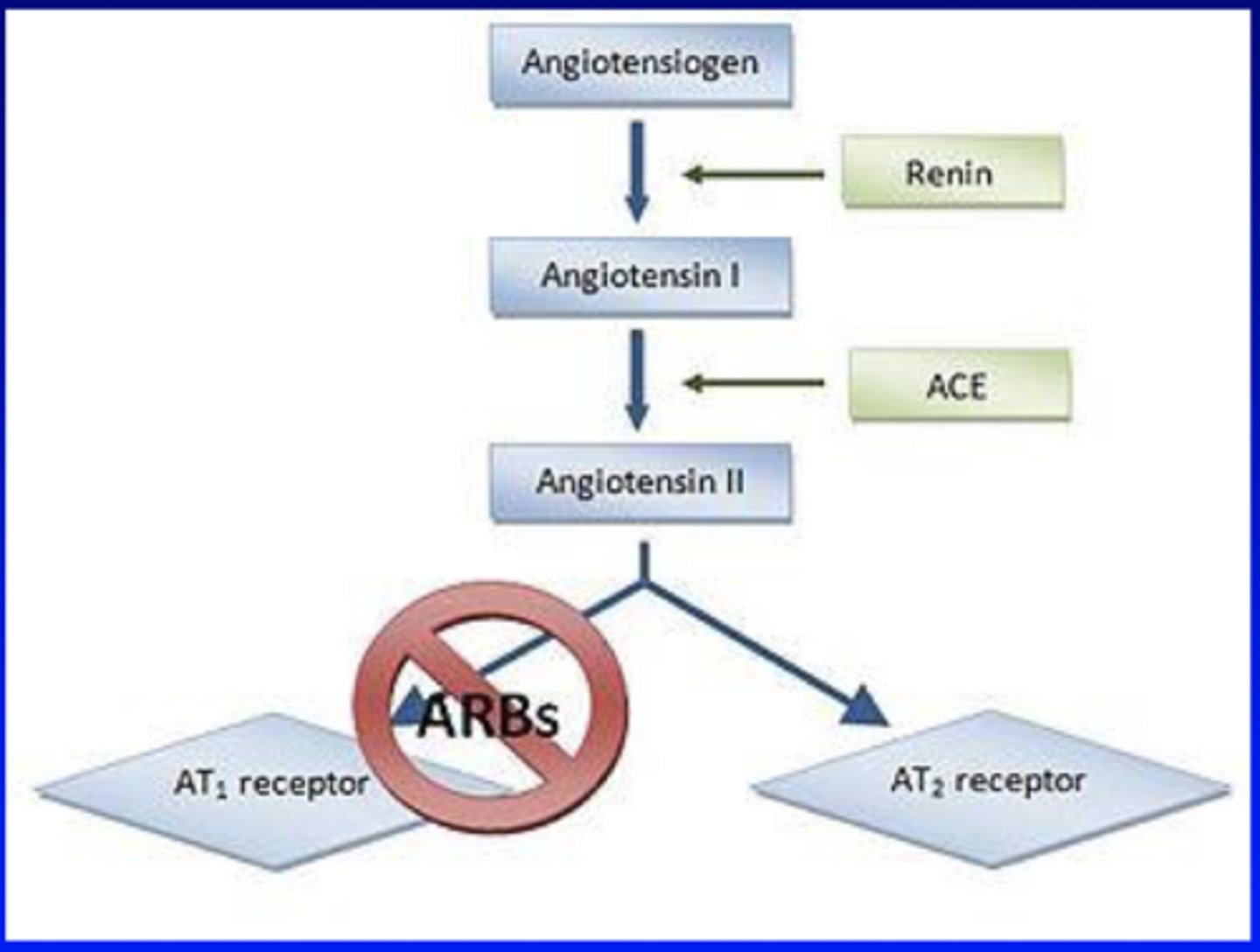 <p>They block the conversion of angiotensin I to angiotensin II, leading to decreased vasoconstriction and aldosterone secretion;</p>