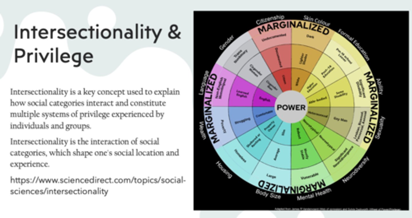 <p>Intersectionality</p>