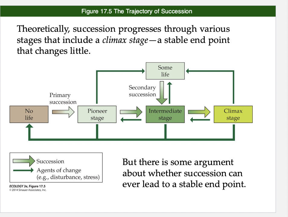 <p>Components of Secondary Succession</p>