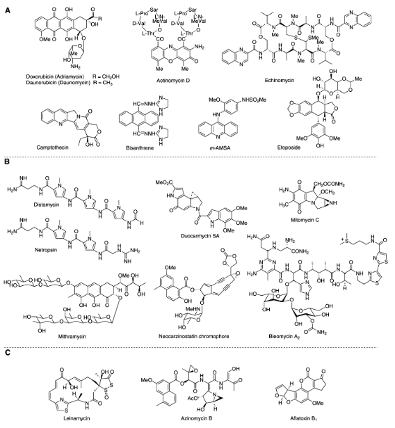 <p>intercalators</p><p>minor groove binders</p><p>major groove binders</p>