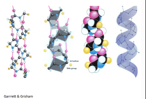 <p>dots are h bonds, in gray is the planes that are formed by the atoms), r groips are yellow</p>