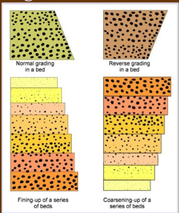 <p>units characterized by distinct vertical gradation in grain-size (upward fining or coarsening)</p>