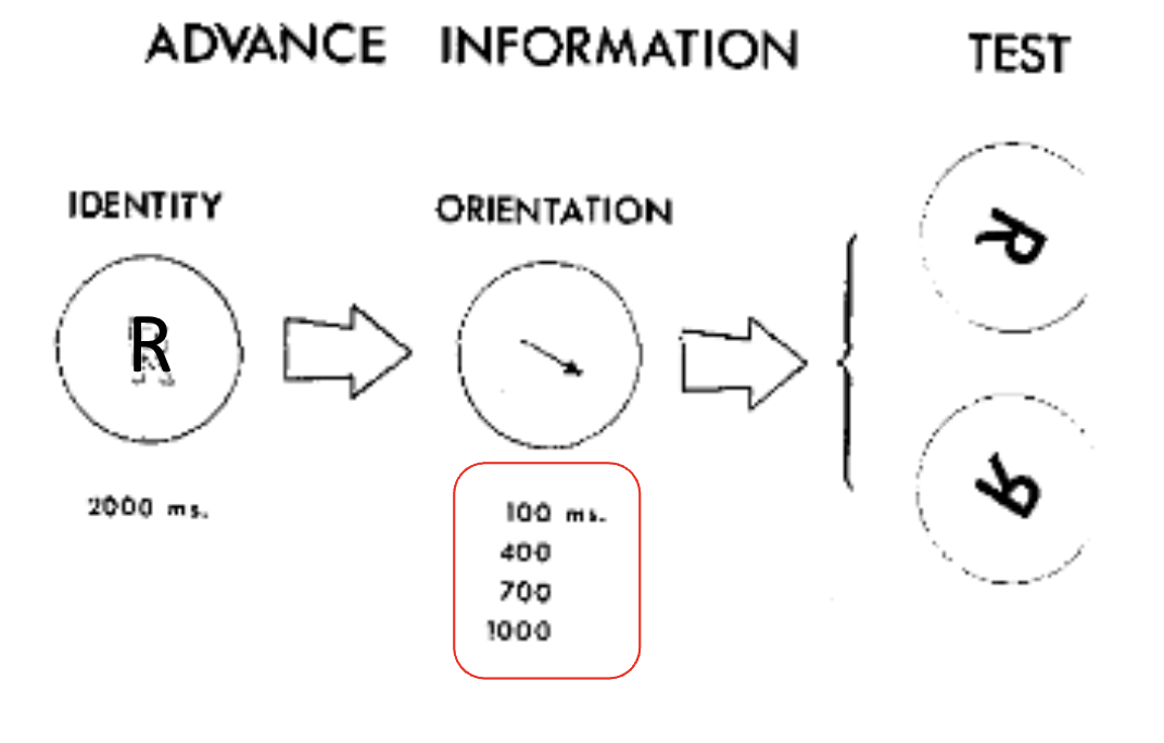 <p>Condition type B (both identity and orientation cue) : with an additional factor- 4 different durations of the cue</p>