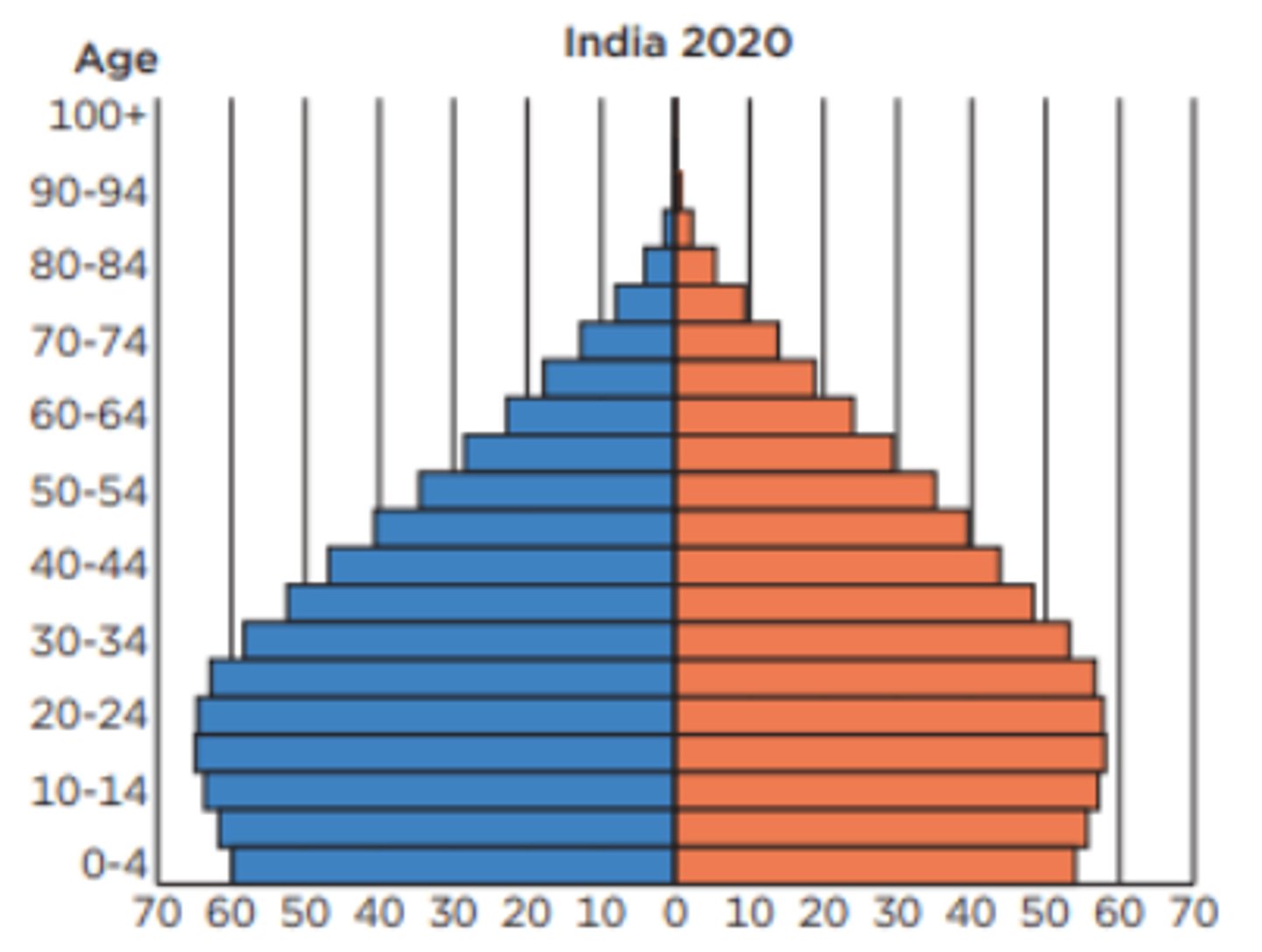 <p>is this population pyramid growing, stable, declining</p>