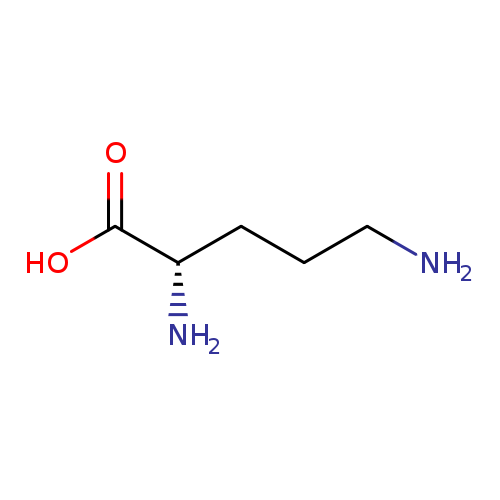 <p><span>C5H12N2O2</span></p>