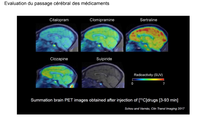 <p>Cet article permet d’apprécier la disposition cérébrale d’un certain nombre de psychotropes. Chacun de ces médicaments commercialisés ont été rendus radioactifs avec du carbone 11 et ont été administrés à des doses similaires.</p><p>On voit par exemple que la sertraline rentre très bien dans le cerveau mais se fixe un peu partout. Le citalopram rentre un peu moins dans le cerveau. La sulpiride rentre très très peu.</p><p>→Ca permet de<strong> comparer les profils cinétiques.</strong></p><p>Il y a un petit point qu’on voit tout le temps dans ces imageries : c’est <span style="color: red"><strong>l’hypophyse</strong></span>. Elle fait partie des <strong>organes circumventriculaires qui ne sont pas protégés par la barrière hémato-encéphalique donc on la voit tout le temps</strong></p>