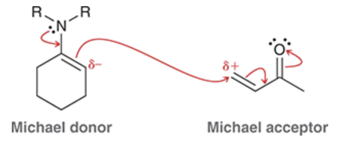 <ul><li><p><strong><u>Notice: beta position attacked</u></strong></p></li></ul><p></p>