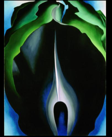 Jack-In-the-Pulpit, 
