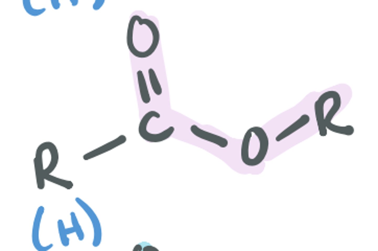 <p>Looks similar to carboxylic acids, but the H (acidic H) is replaced by another C group</p>