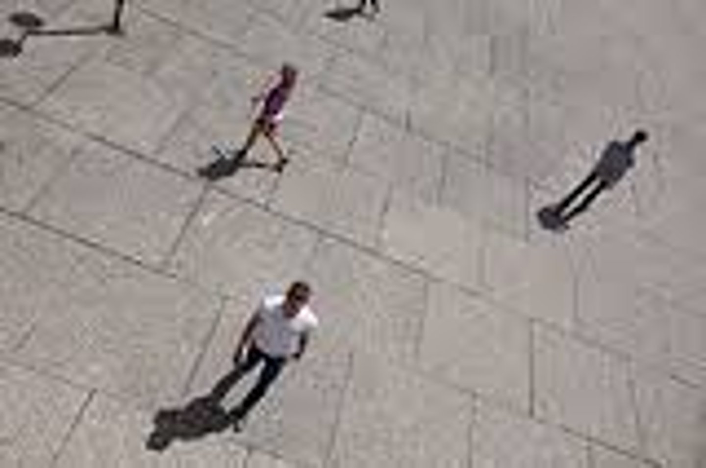 <p>things that cause disunity in the state (ex: political, religious, or economic conflict)</p>